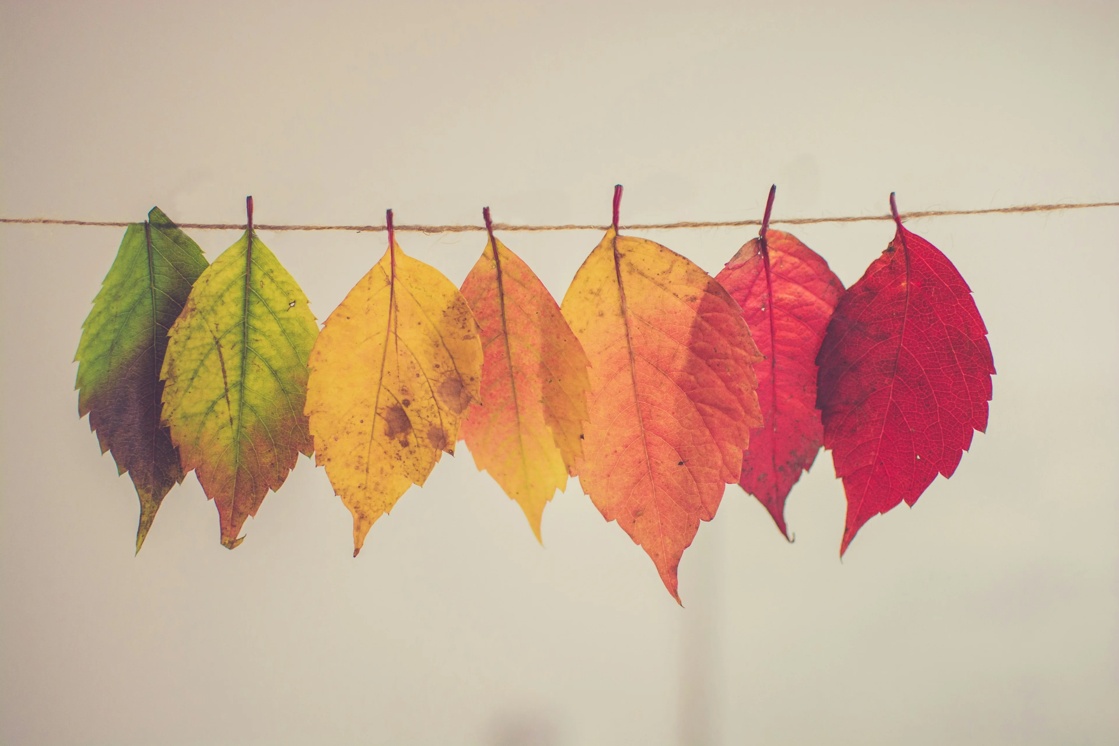 Nothing is permanent except change.