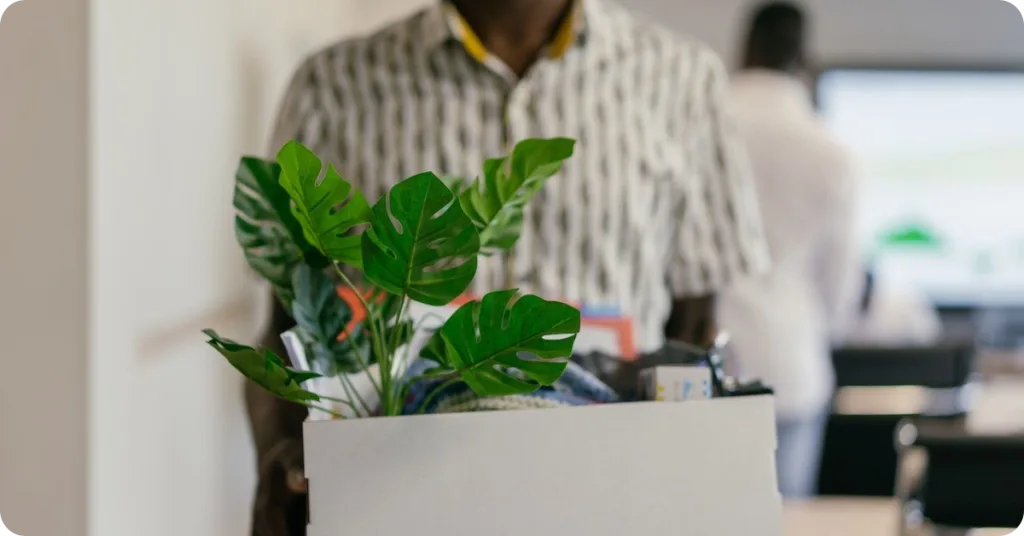 A plant in a box